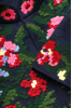 "The Bloom of Bukovyna" blue shirt photo