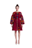 "Ulyana" bordo mini dress photo